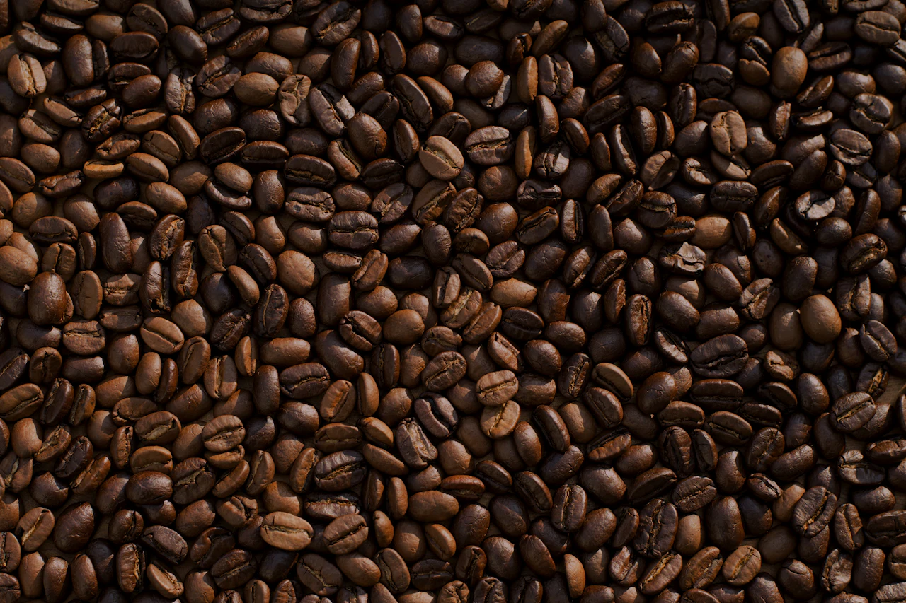 Biji kopi pilihan